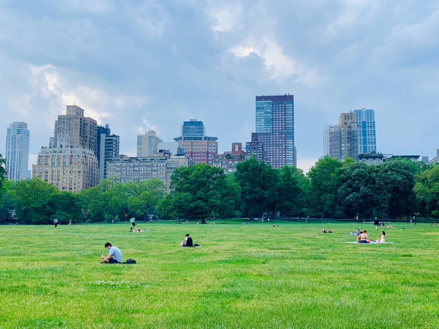 IMG_1653.jpg?type=w966