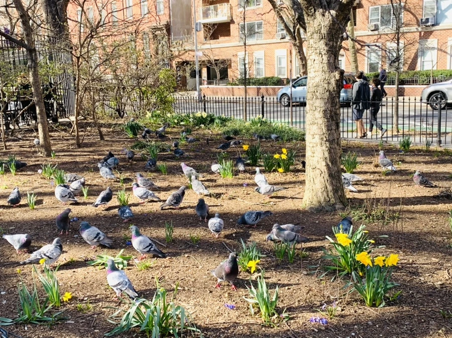 IMG_5377.jpg?type=w966