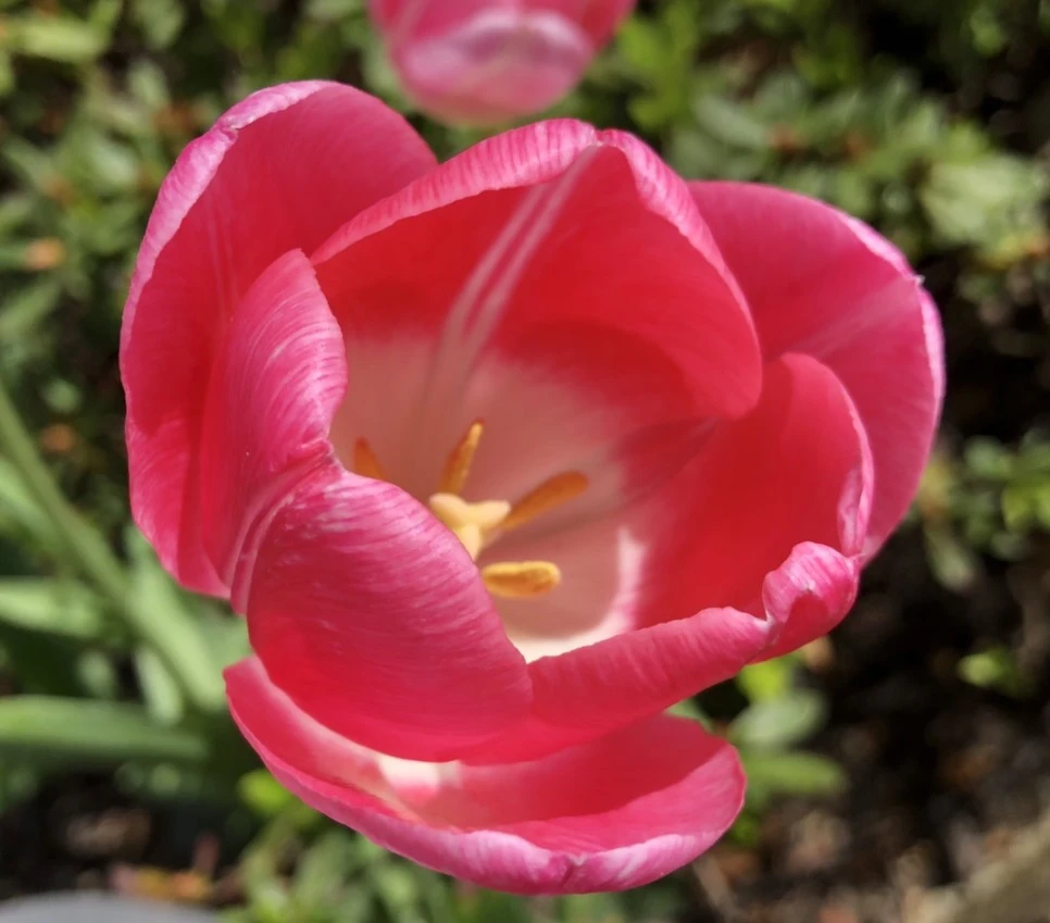 IMG_3908.jpg?type=w966