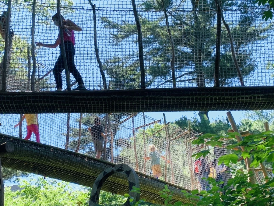 IMG_4314.jpg?type=w966