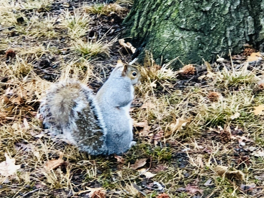 IMG_9554.jpg?type=w966