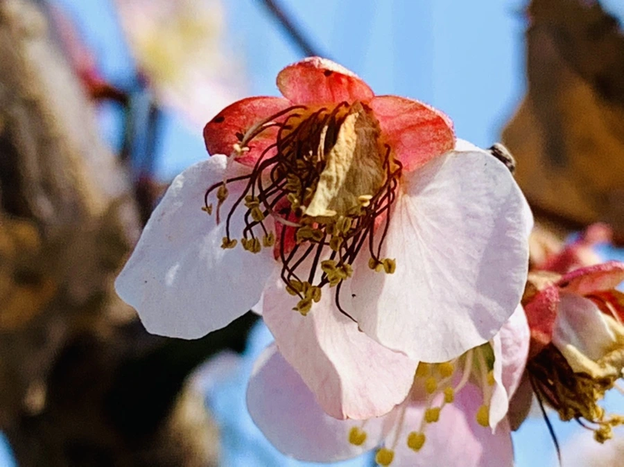 IMG_4204.jpg?type=w966