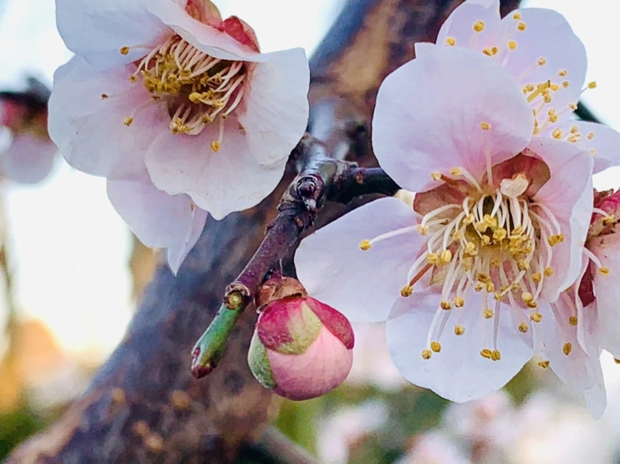 IMG_2305.jpg?type=w966