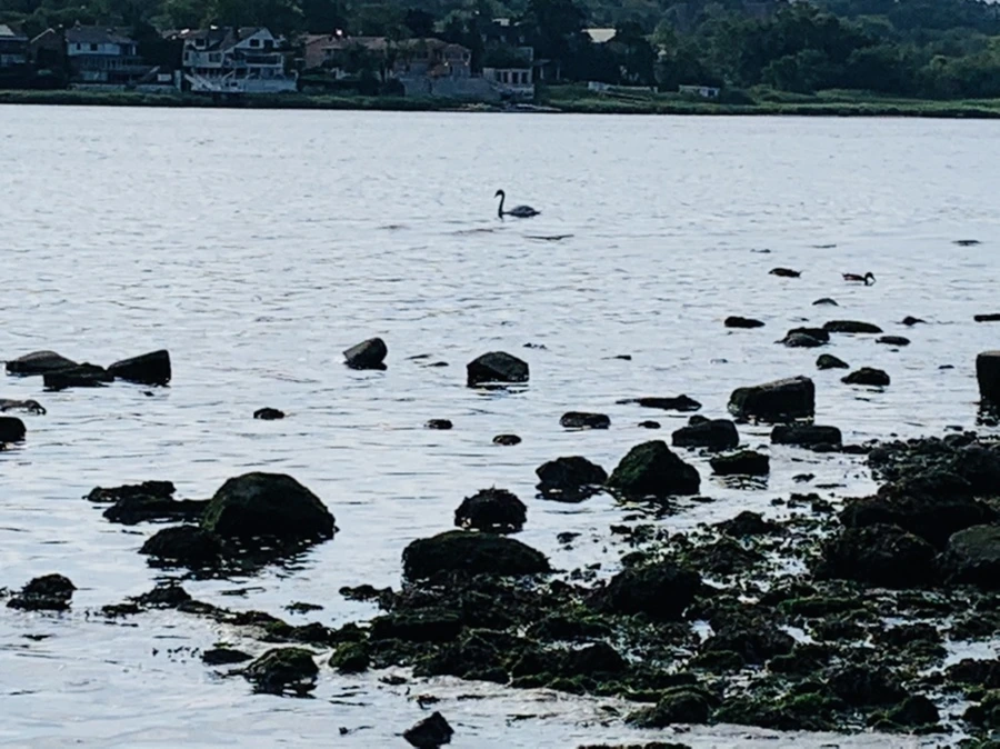 IMG_3230.jpg?type=w966