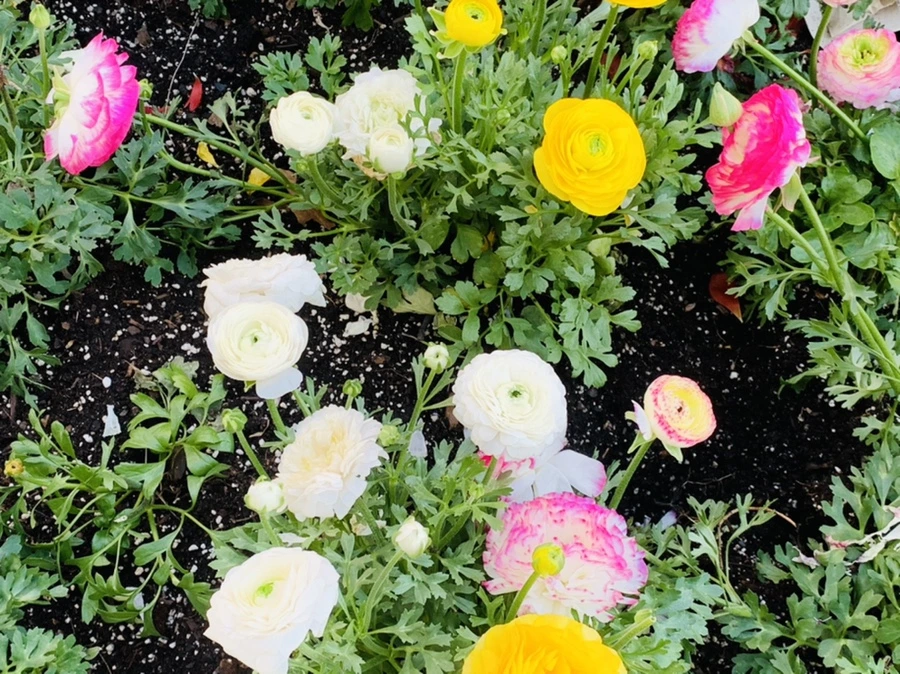 IMG_5396.jpg?type=w966