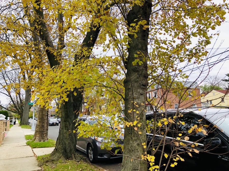 IMG_5230.jpg?type=w966