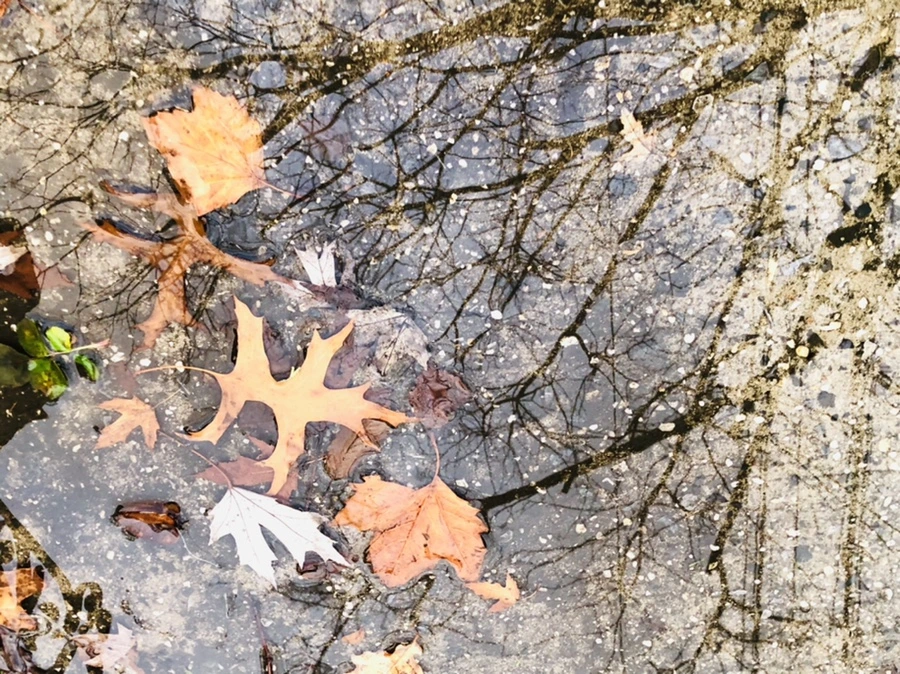 IMG_8210.jpg?type=w966