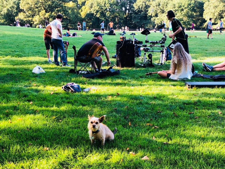 IMG_1100.jpg?type=w966