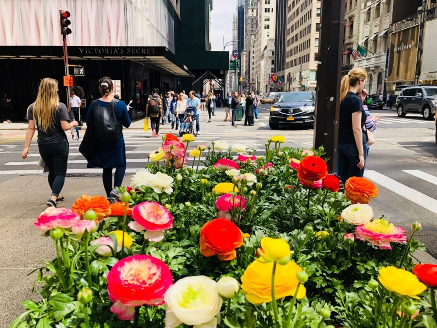 IMG_4354.jpg?type=w966