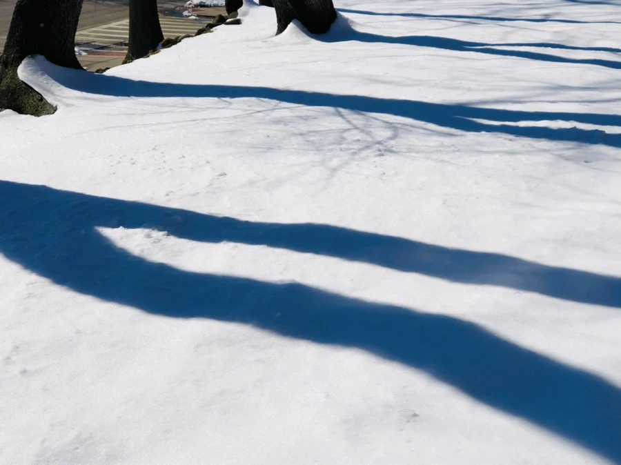 IMG_4015.jpg?type=w966