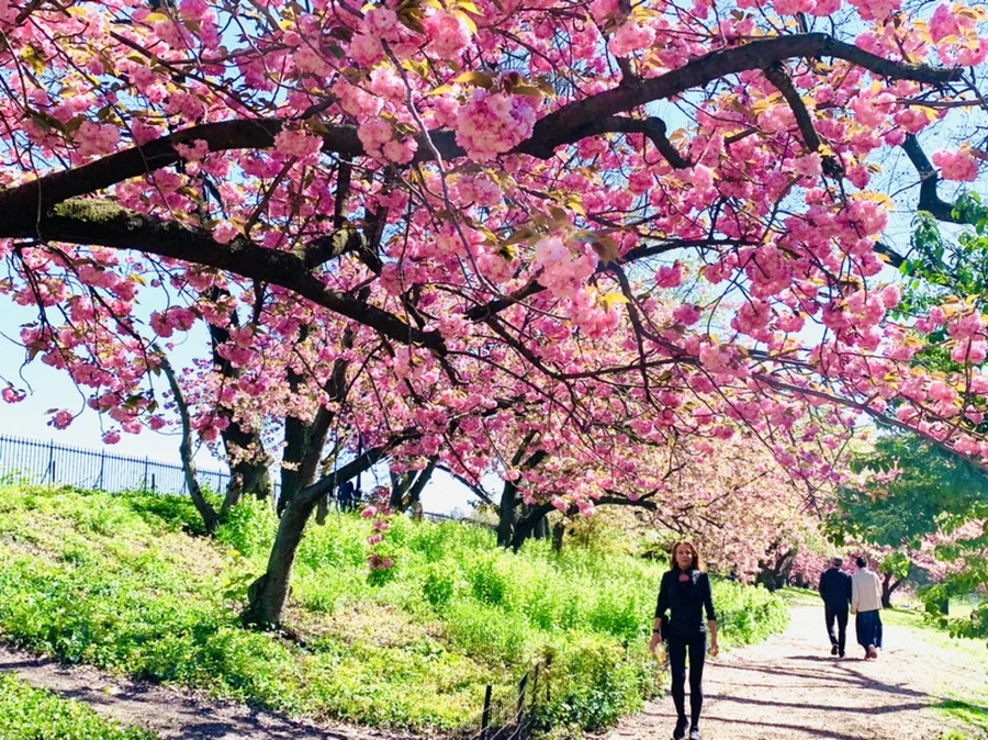 IMG_5827.jpg?type=w966