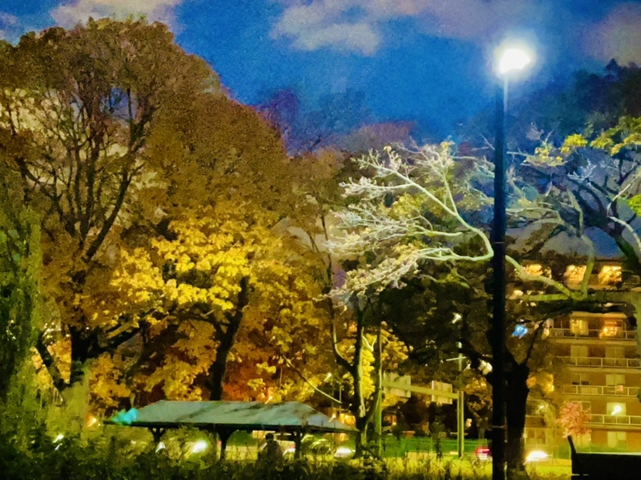 IMG_2832.jpg?type=w966