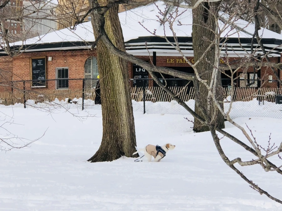 IMG_9318.jpg?type=w966