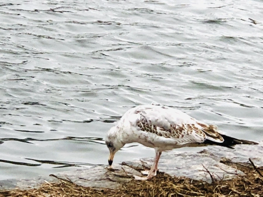 e4B05IxW9aJv1fe_2jHbejqP6Gw