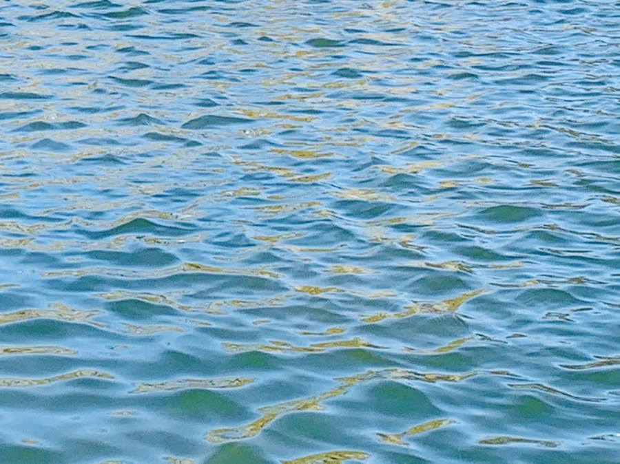 IMG_9881.jpg?type=w966