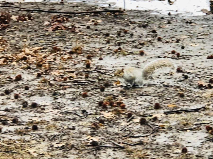 IMG_5731.jpg?type=w966