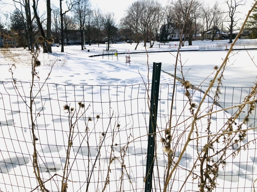 IMG_0106.jpg?type=w966