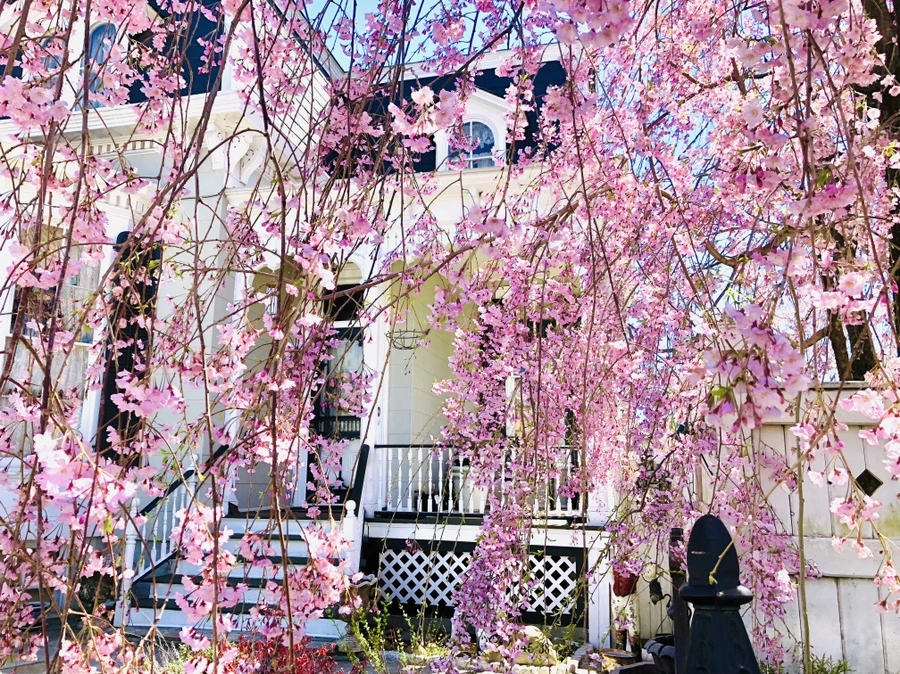 IMG_3044.jpg?type=w966