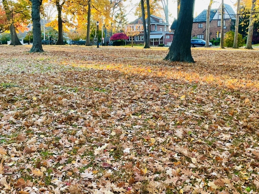 IMG_4093.jpg?type=w966