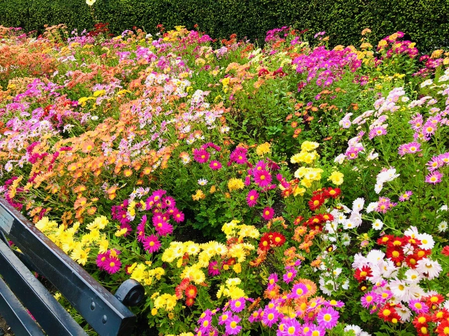 IMG_2476.jpg?type=w966