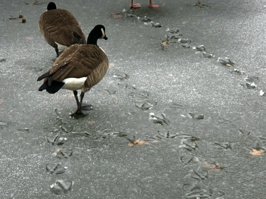 IMG_6023.jpg?type=w966