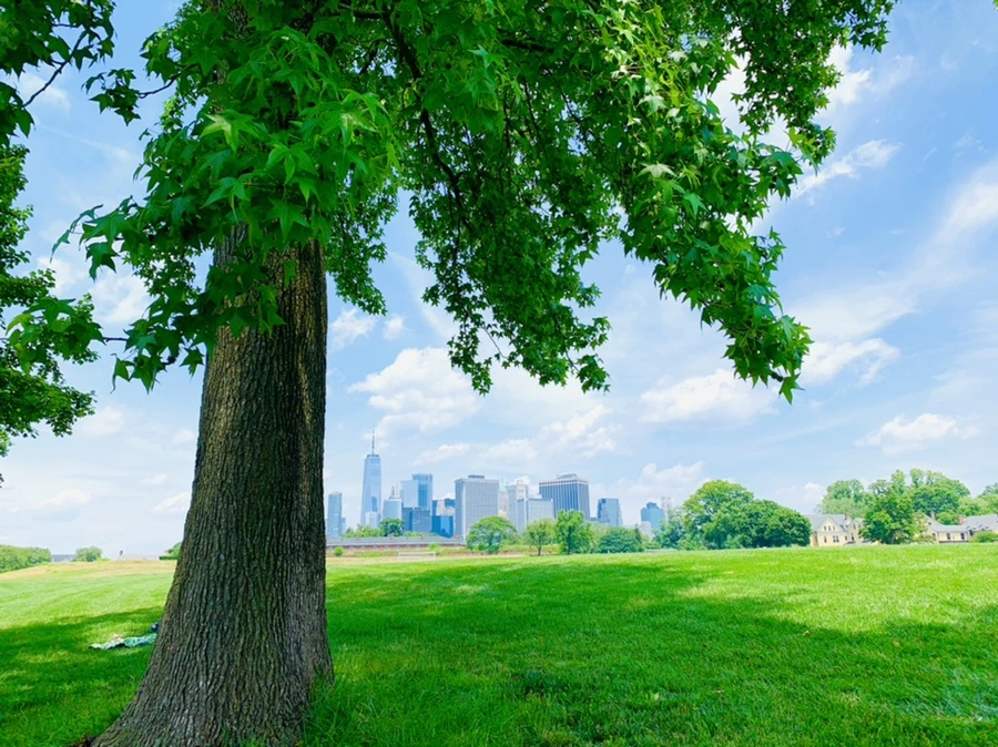 IMG_5083.jpg?type=w966