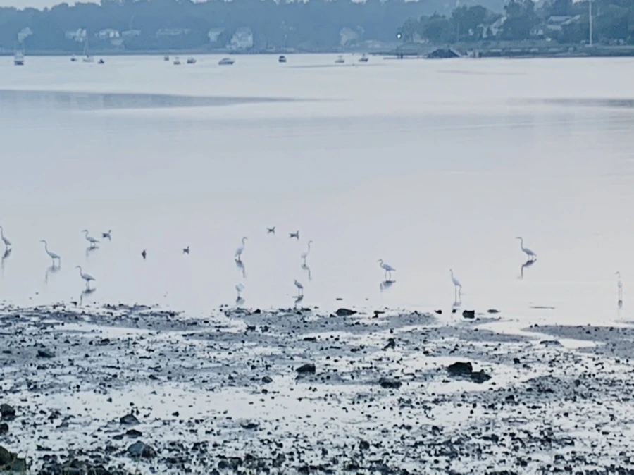 IMG_8159.jpg?type=w966