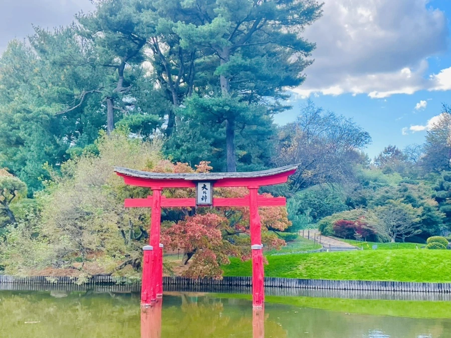 IMG_0176.jpg?type=w966