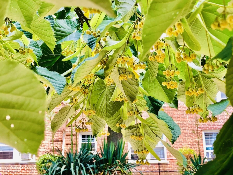 IMG_0593.jpg?type=w966