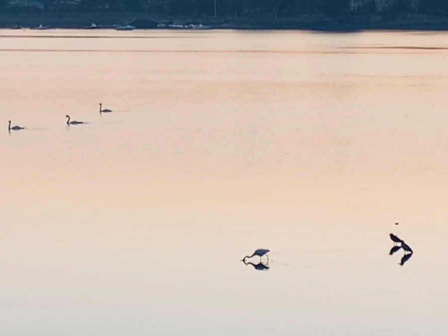 IMG_7148.jpg?type=w966