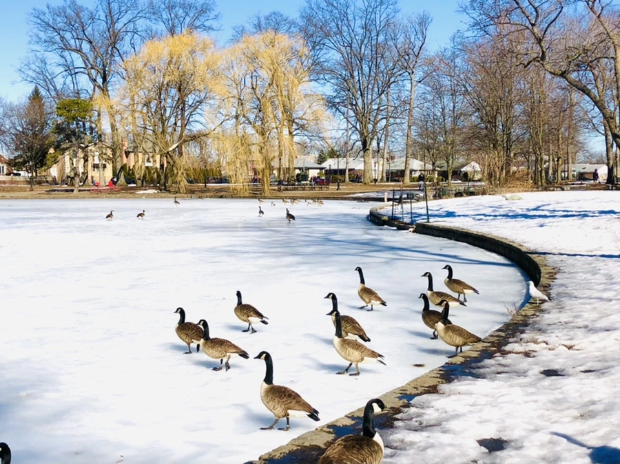 IMG_4933.jpg?type=w966