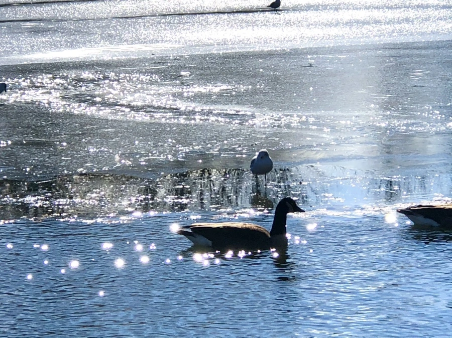 IMG_6857.jpg?type=w966