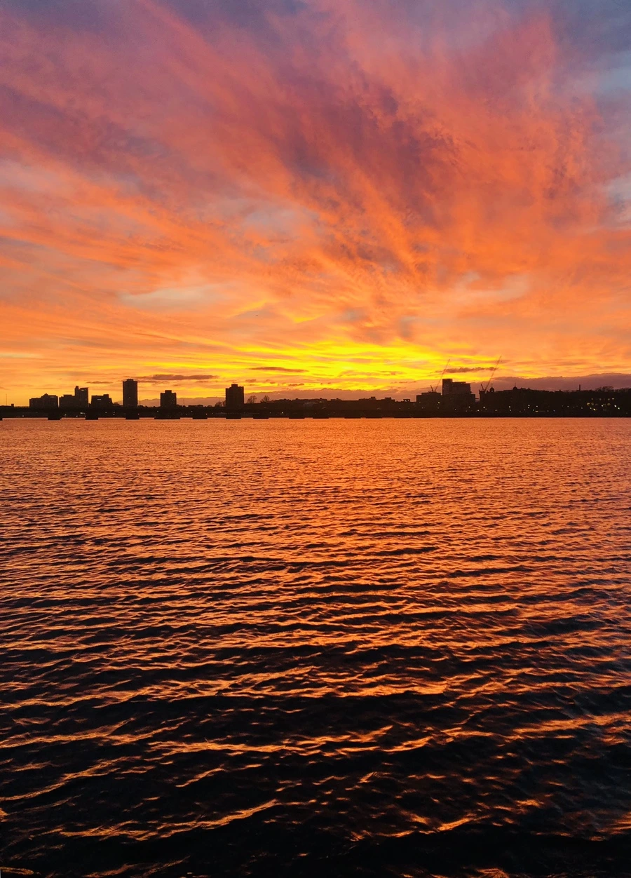 IMG_1961.jpg?type=w966