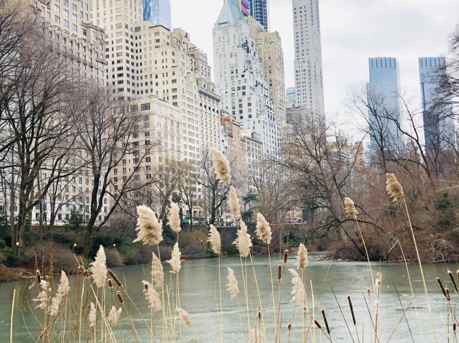 IMG_2414.jpg?type=w966