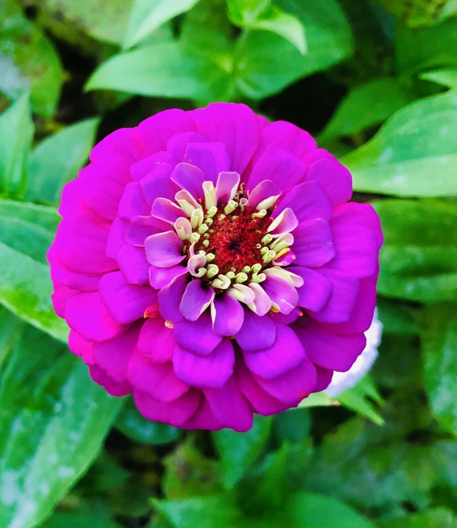 IMG_3633.jpg?type=w966