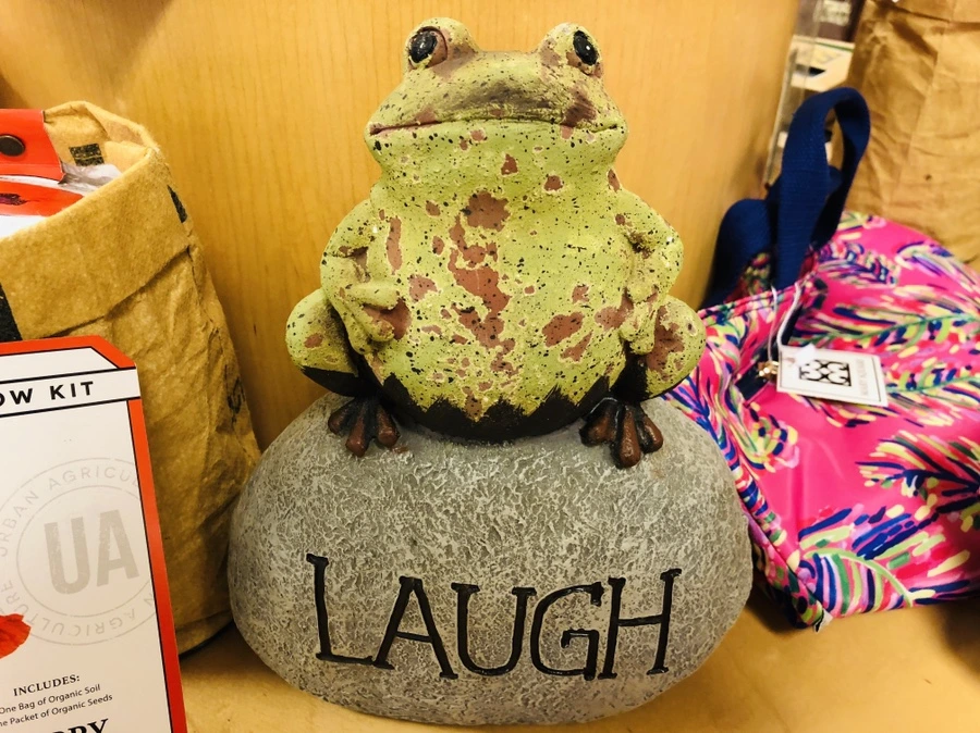 IMG_3886.jpg?type=w966