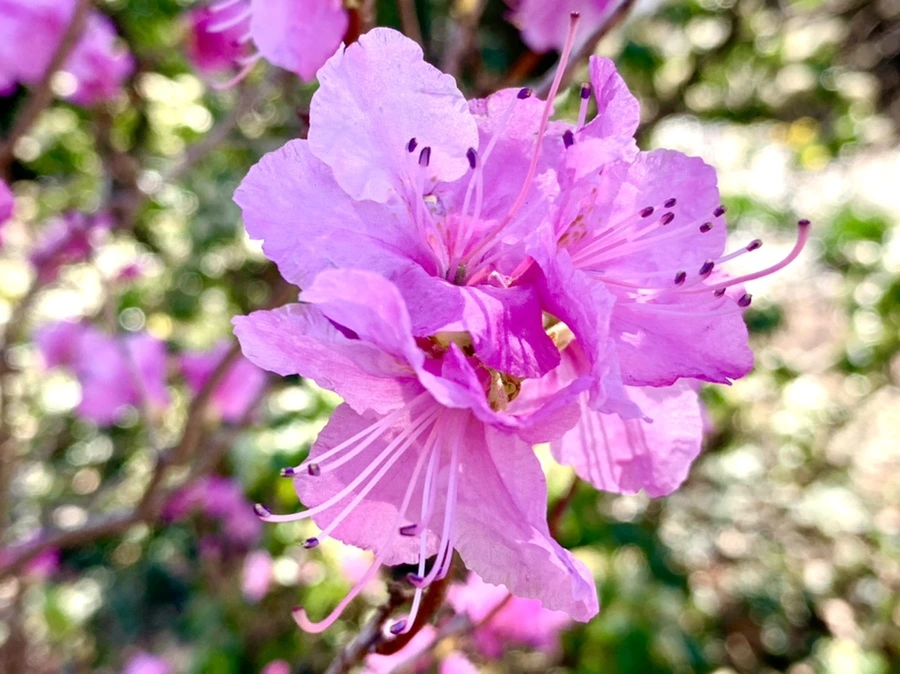 IMG_5637.jpg?type=w966