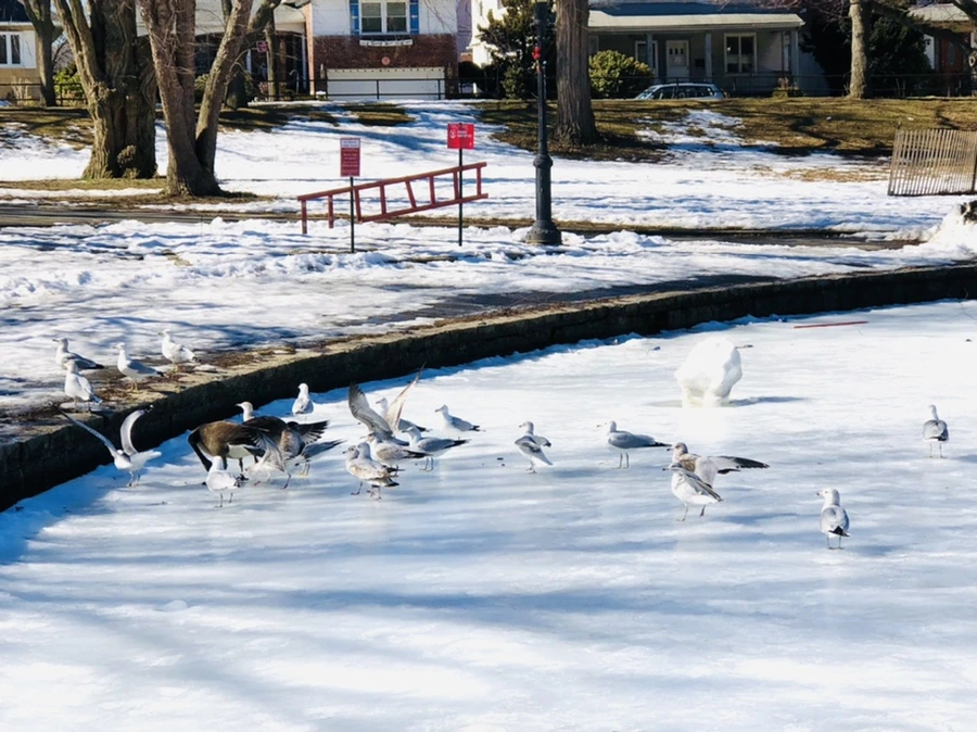 IMG_4799.jpg?type=w966