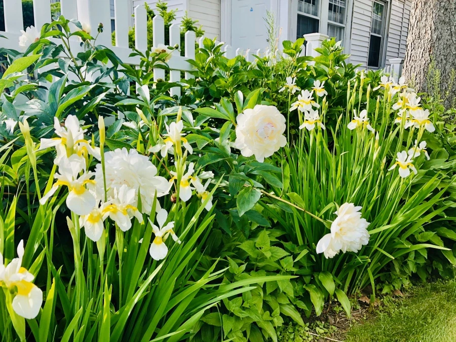 IMG_7827.jpg?type=w966