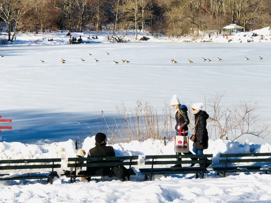 IMG_9822.jpg?type=w966