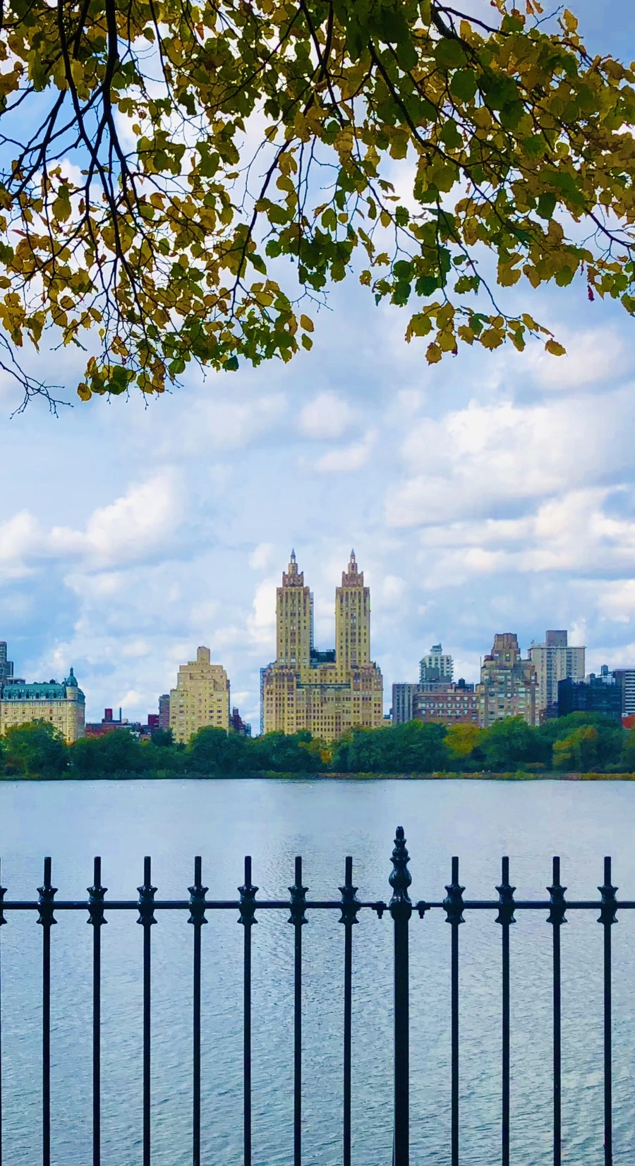 IMG_1902.jpg?type=w966