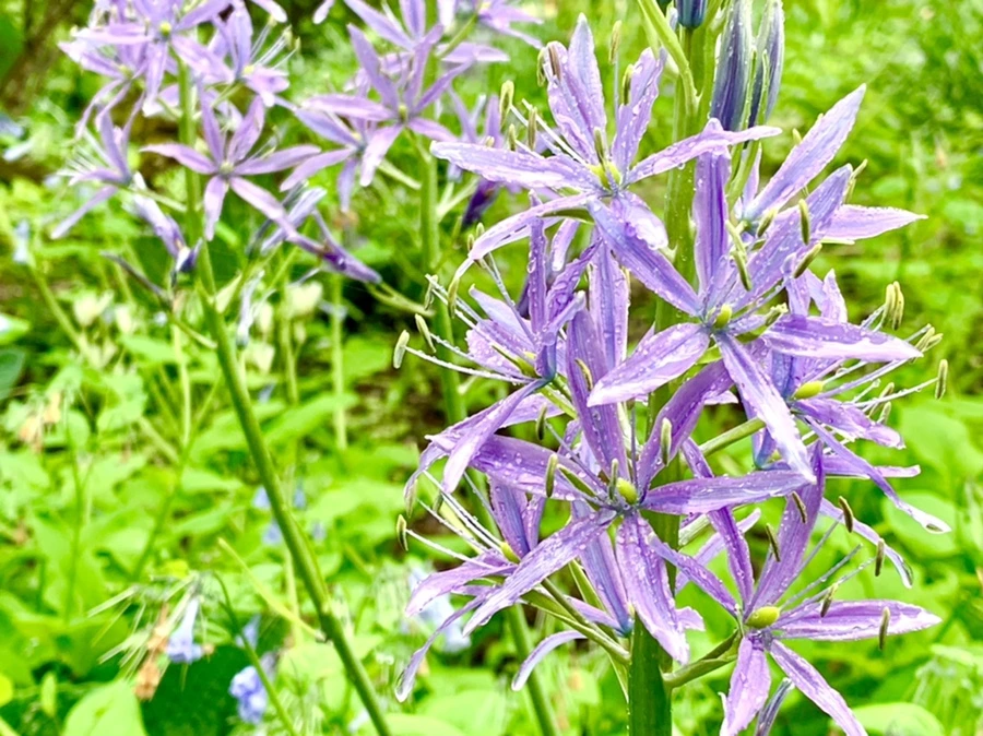 IMG_9795.jpg?type=w966