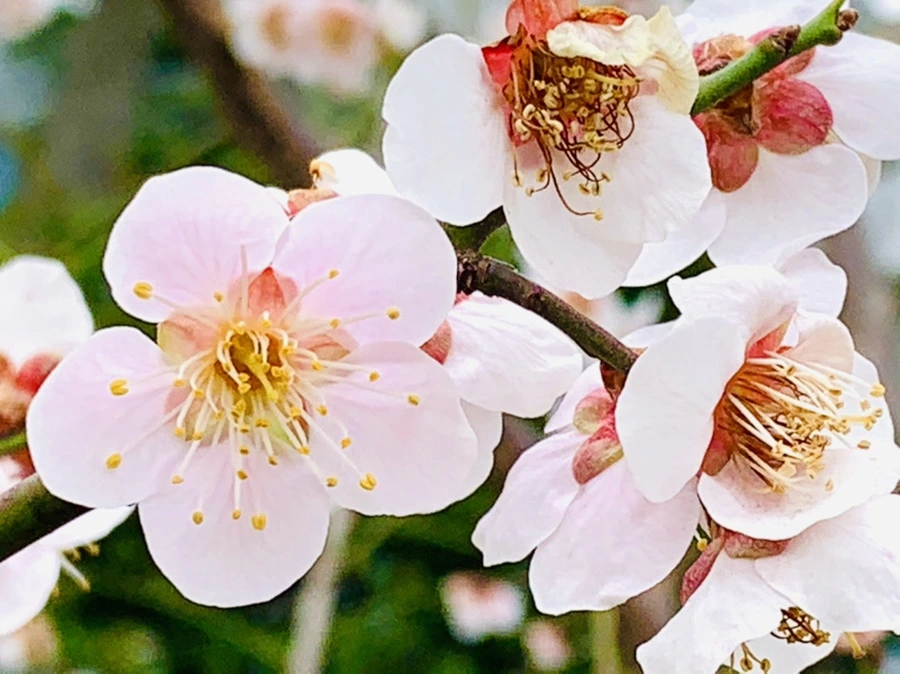 IMG_3615.jpg?type=w966