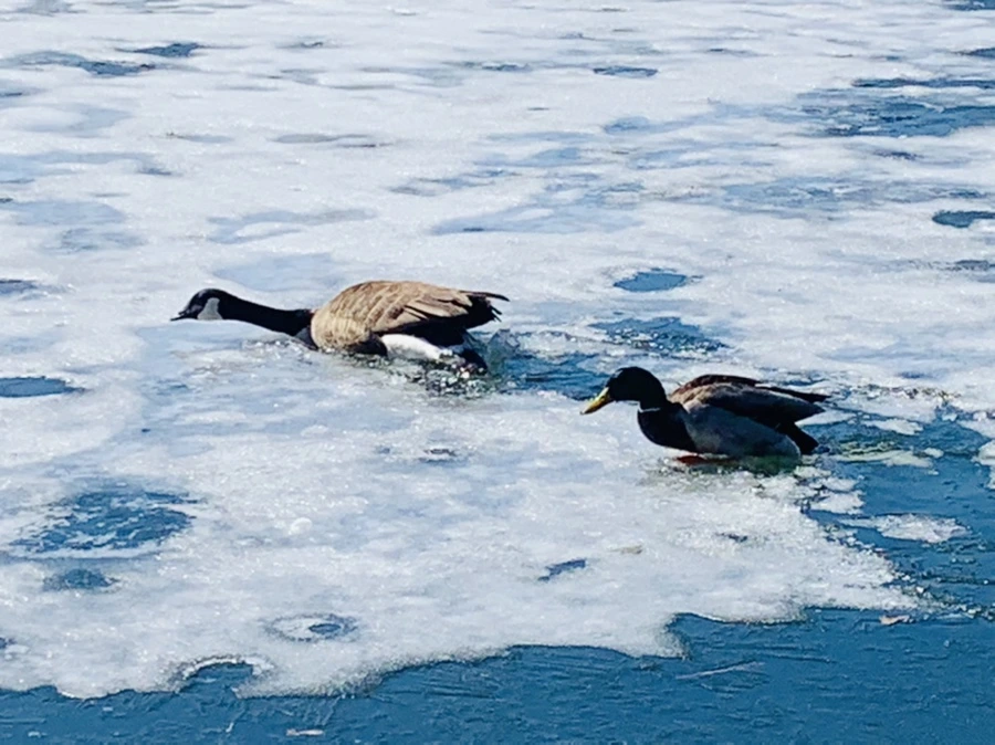 IMG_6880.jpg?type=w966