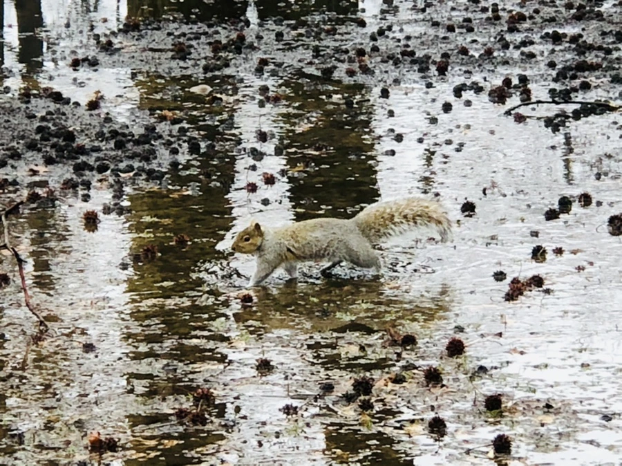 IMG_5727.jpg?type=w966