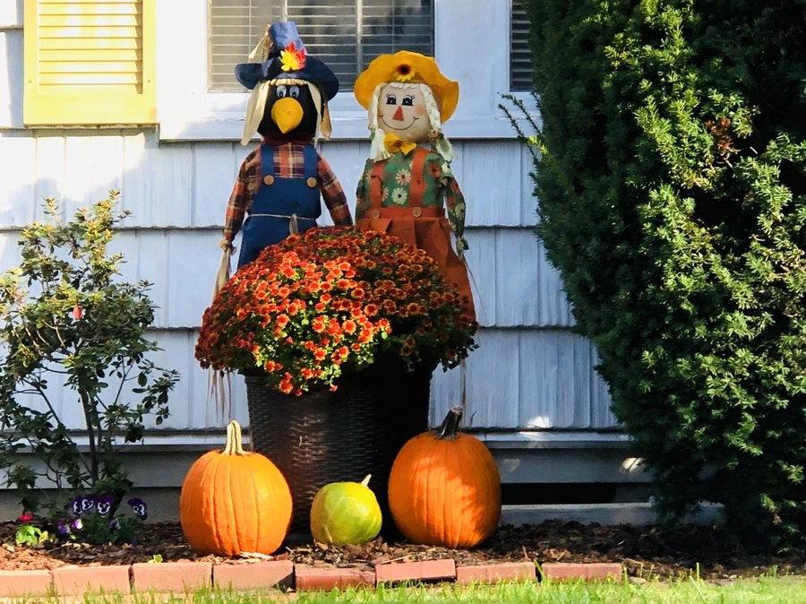 IMG_2146.jpg?type=w966