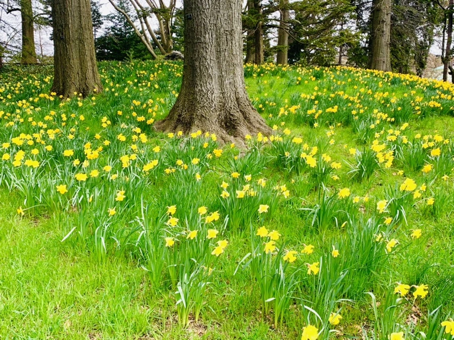 IMG_6554.jpg?type=w966