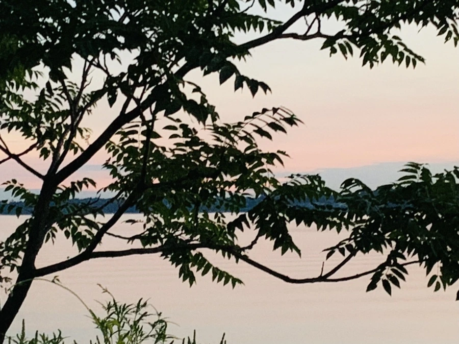 IMG_0855.jpg?type=w966