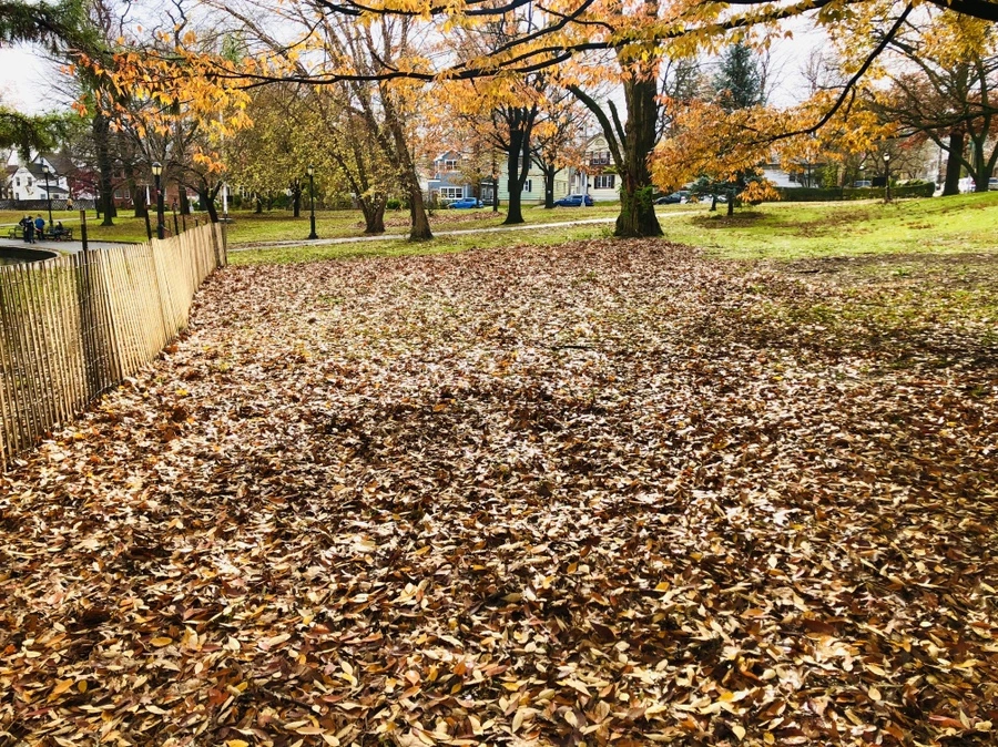 IMG_5446.jpg?type=w966