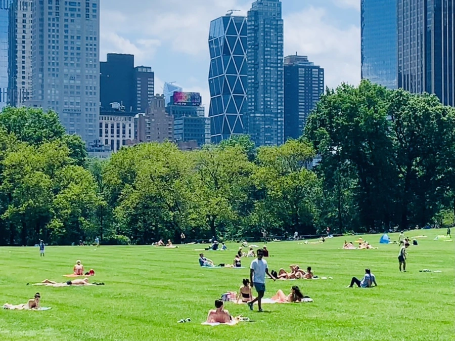 IMG_5382.jpg?type=w966